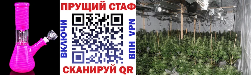 Купить наркотики цена Киселёвск Каннабис Меф мяу мяу A-PVP ГАШИШ КОКАИН
