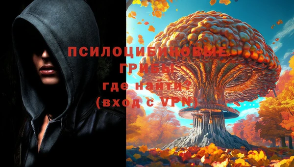 Альфа ПВП Алзамай