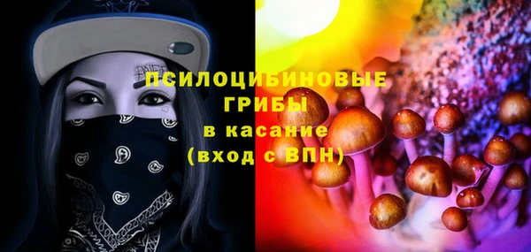 винт Алексин