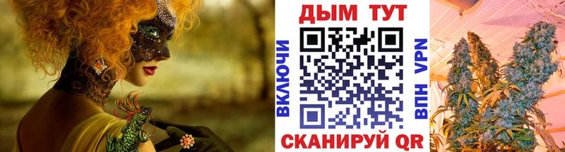 как найти наркотики  Киселёвск  Конопля гибрид 
